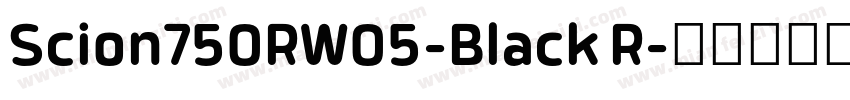 Scion750RW05-Black R字体转换